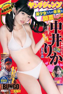 8086的视频