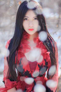 绝望的主妇第六季